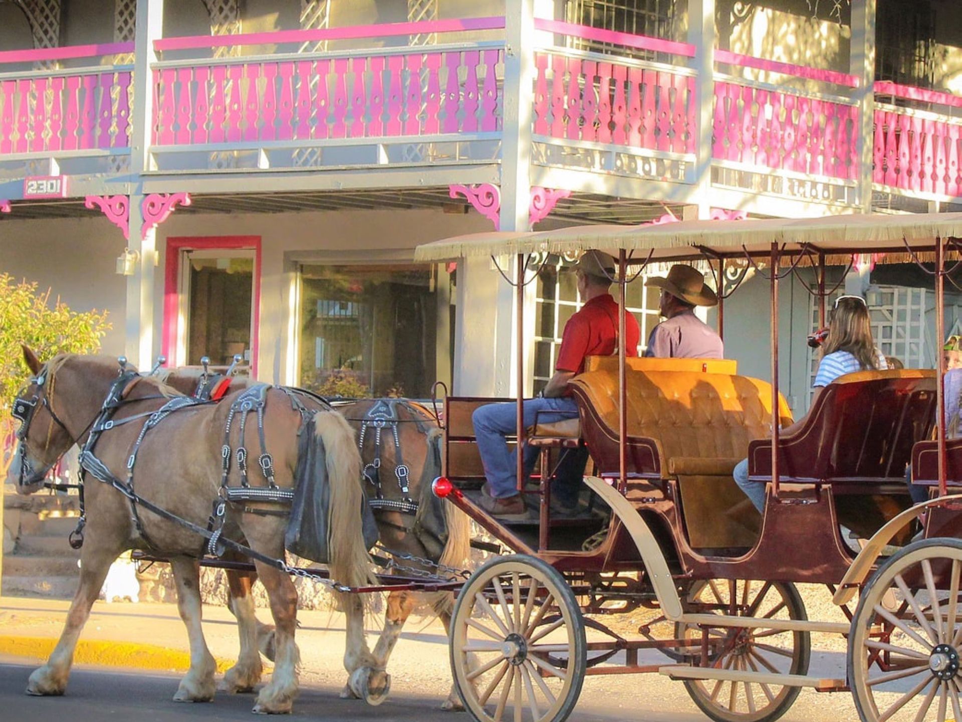 Horseback Riding & Carriage Rides near Elegante Lodge & Resort