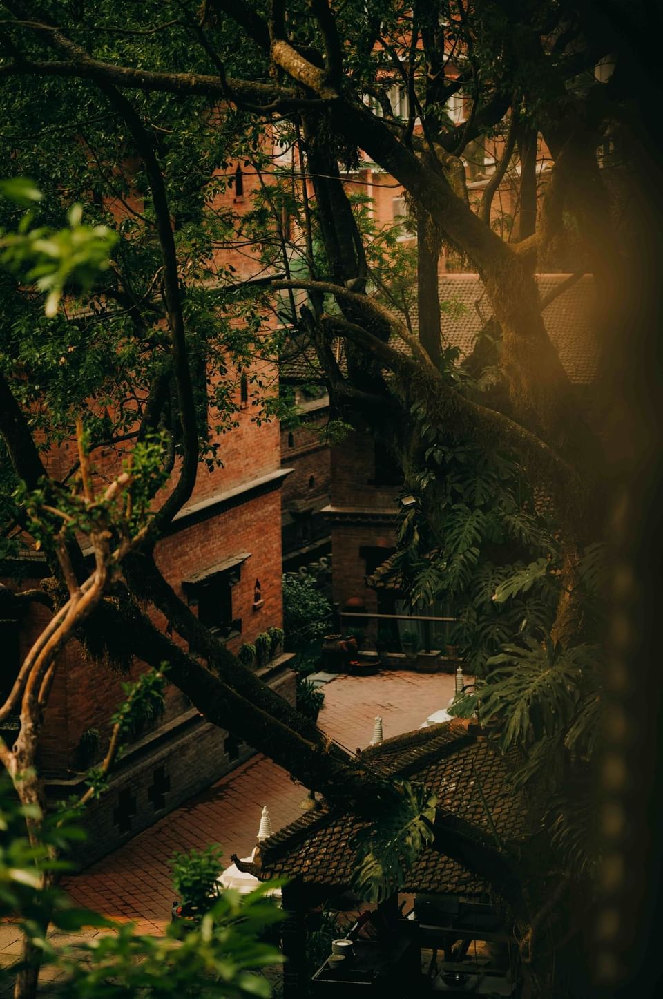 Courtyard with red brick buildings, surrounded by greenery & tree branches extending overhead at Dwarika's Hotel Kathmandu