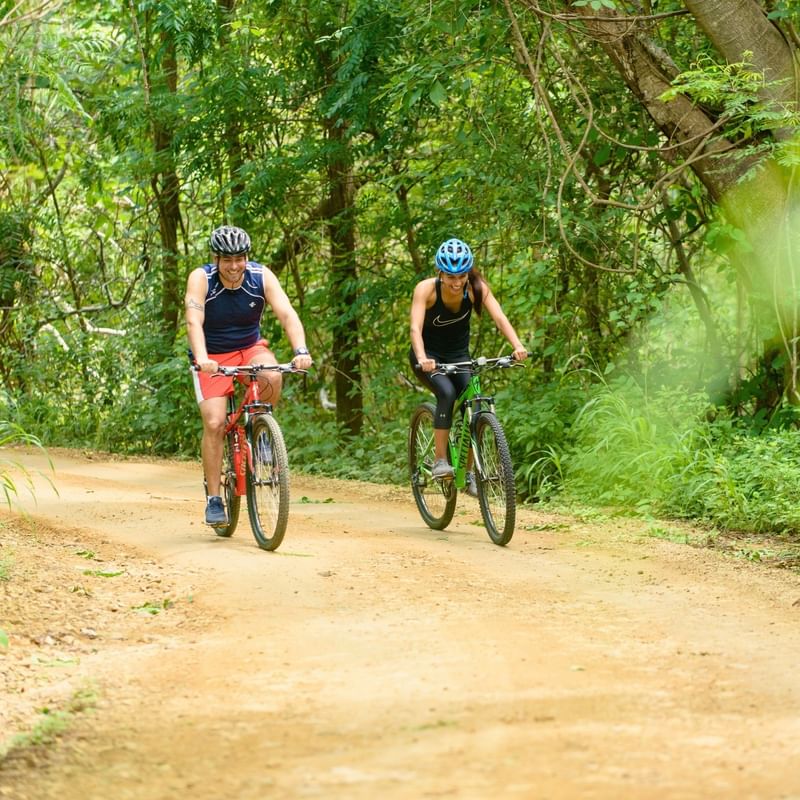 Guests riding standard bicycles along a shaded jungle path
