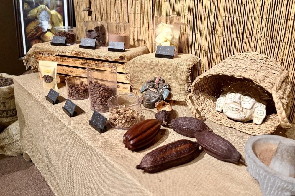 A table displaying a variety of cacao beans, cocoa butter, and other elements of chocolate against a bamboo backdrop.