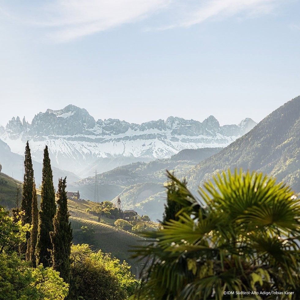 Mountain landscape with snow-capped peaks and lush vegetation showcasing the Dolomites Experience Spring.