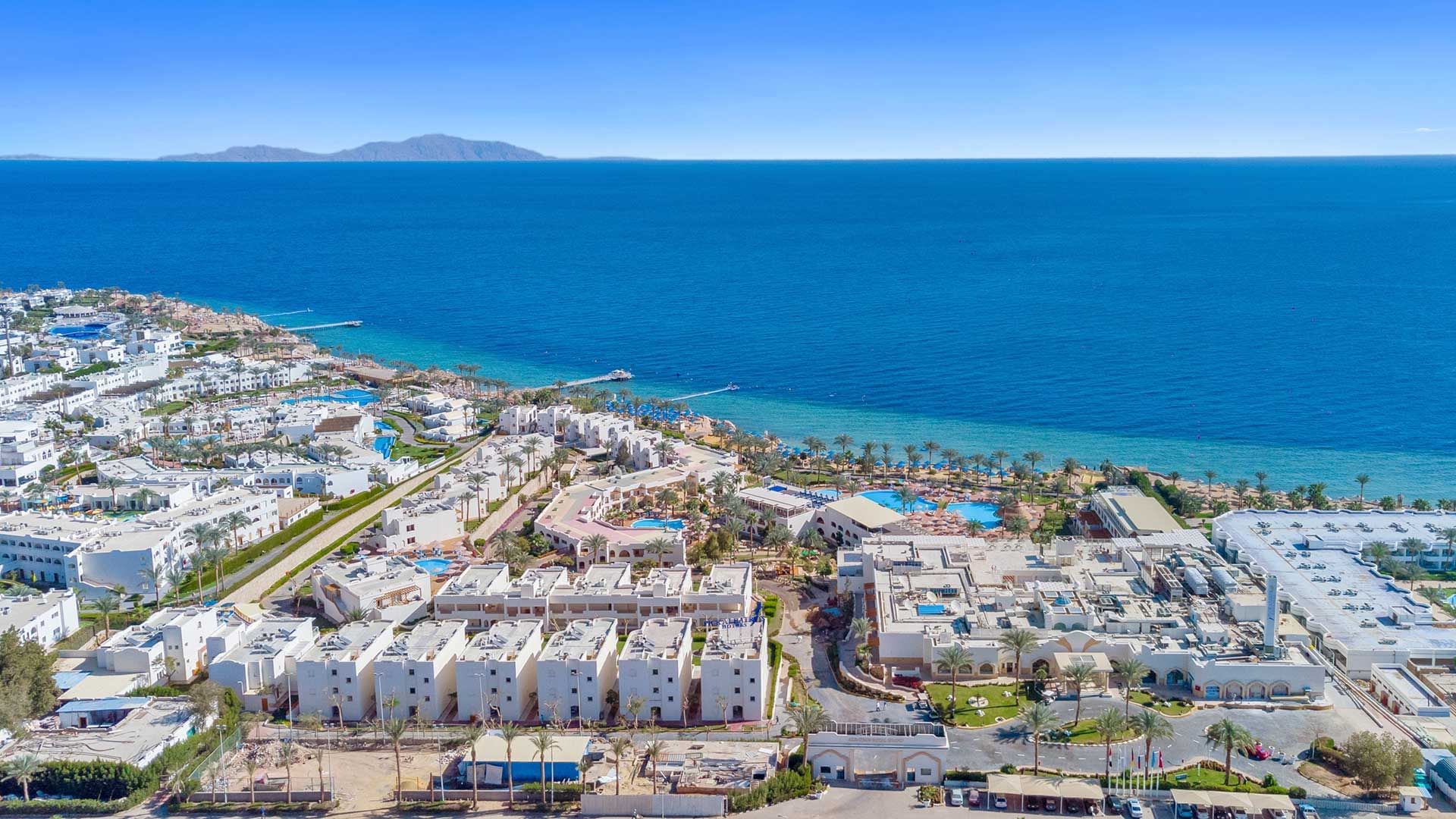 Terms & Conditions | Pickalbatros Royal Grand Resort