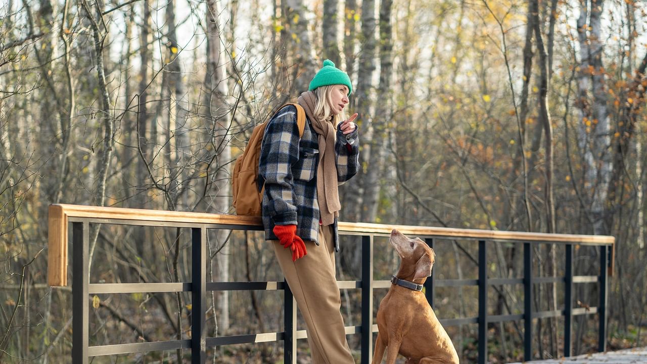 Woman in green beanie with backpack and dog on wooden bridge surrounded by bare trees