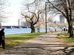 People walking on a park path by a lake with city skyline in the background.