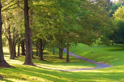 A scenic jogging path winds through a peaceful, sun-dappled forest on the grounds of the Bolger Center