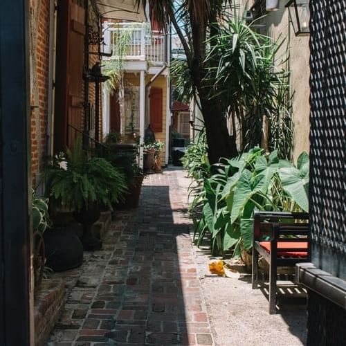 Plants & Lounge, French Quarter Courtyard at Hotel St. Pierre