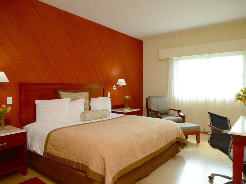 Queen comfy bed in Superior Room at Gamma Hotels