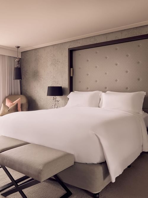 Premier Suite