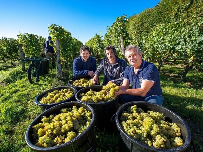 Vignoble vendée tourisme hotel Montaigu