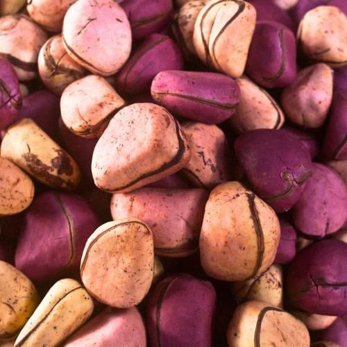 The Kola nut exchange, a popular African wedding tradition