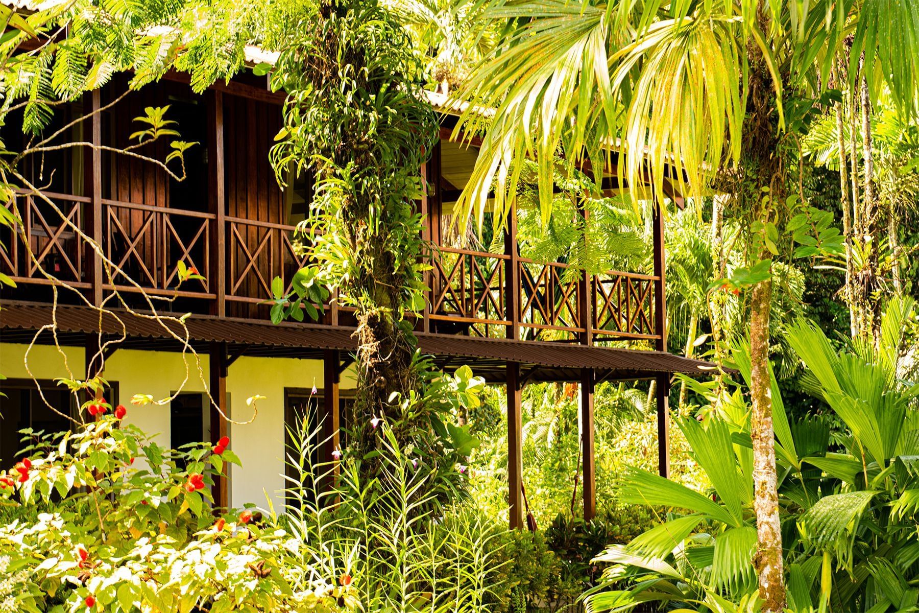 hotel tortuga exterior view