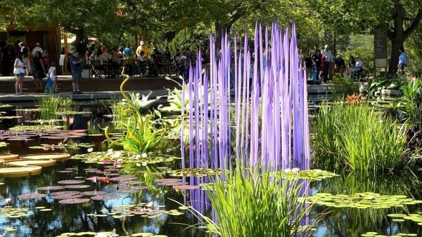 Denver Botanic Gardens with Purple glass art by a lily pond under green trees near Warwick Denver