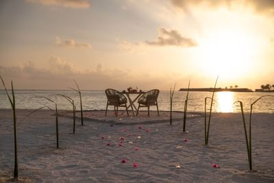 Romantic sunset beach dinner with flowers and ocean view at Ananea Madivaru Maldives