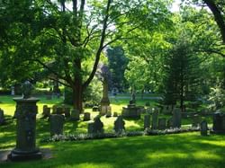 headstones in a cemetery