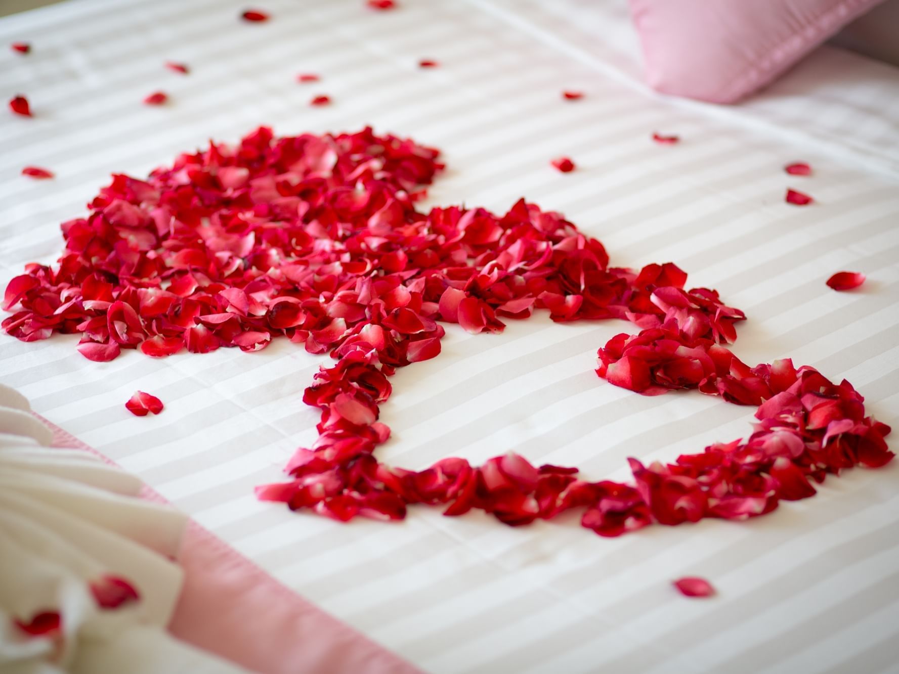 Flowers in a heart shape at a City Seasons Hotel