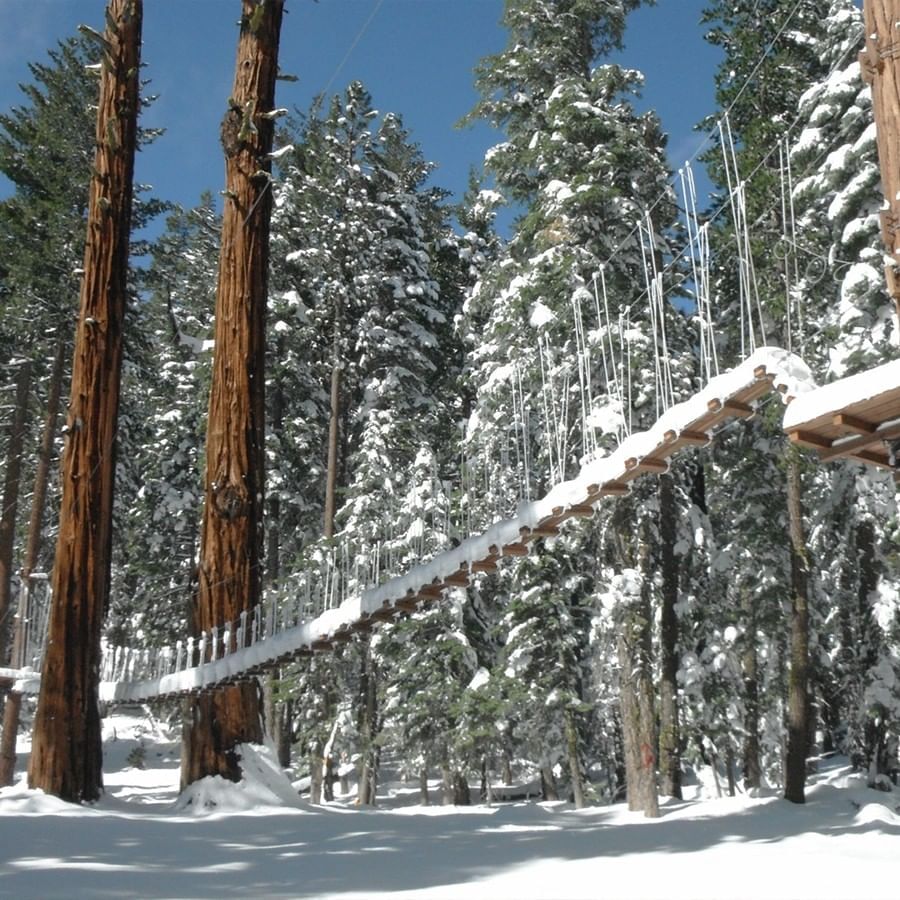 Treetop Adventure course in the snow