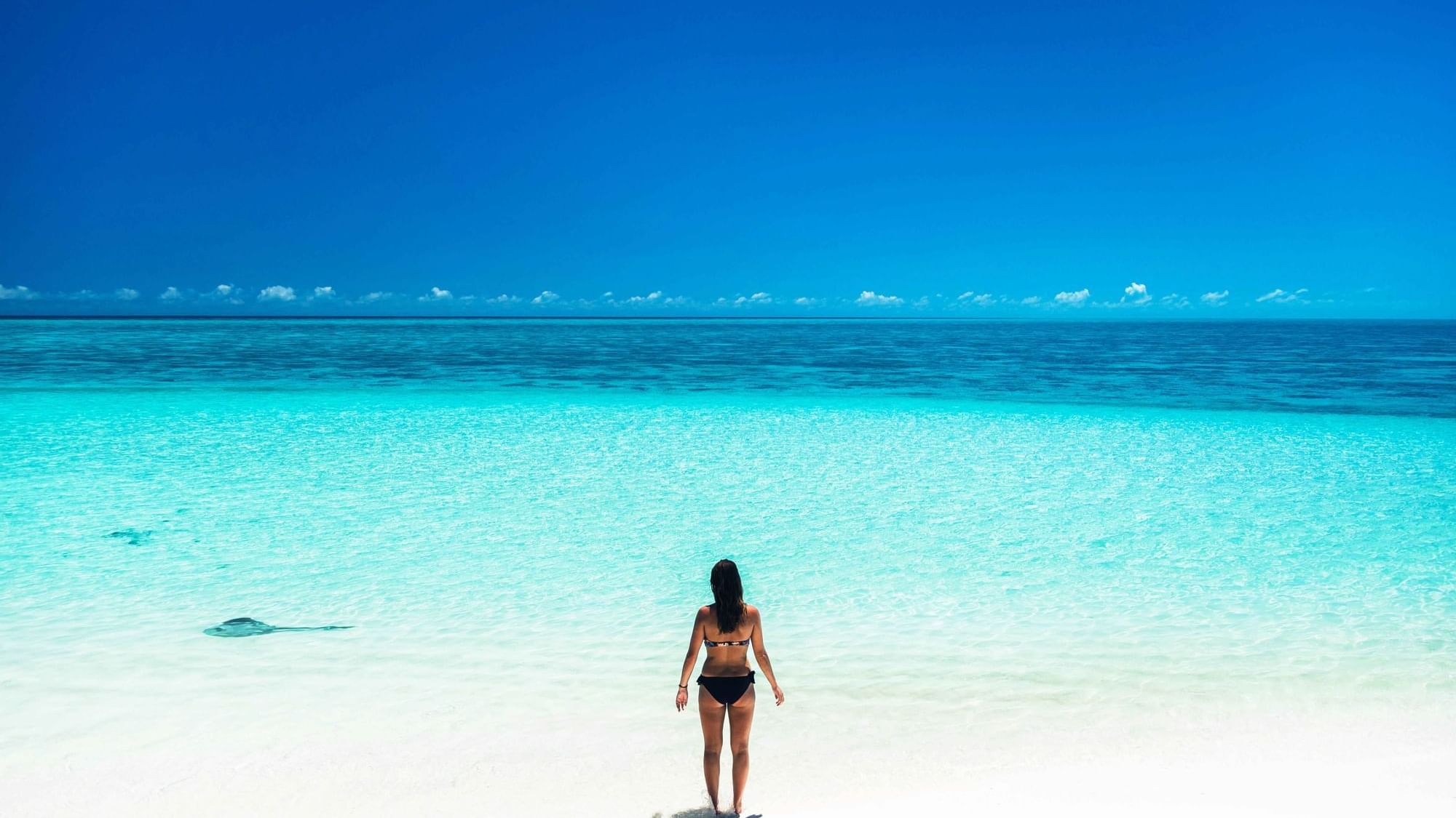 Heron Island Resort Blog Posts