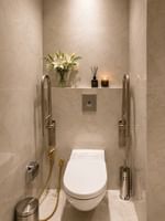 Toilet with stainless steel support handrails beneath flower vase shelf in Accessible Room at Naviti by Warwick Jeddah