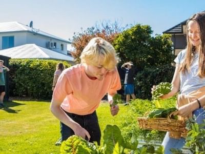 Kirkwood Avenue Hall - Vegie Garden