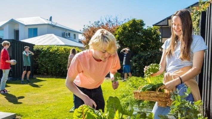 Kirkwood Avenue Hall - Vegie Garden