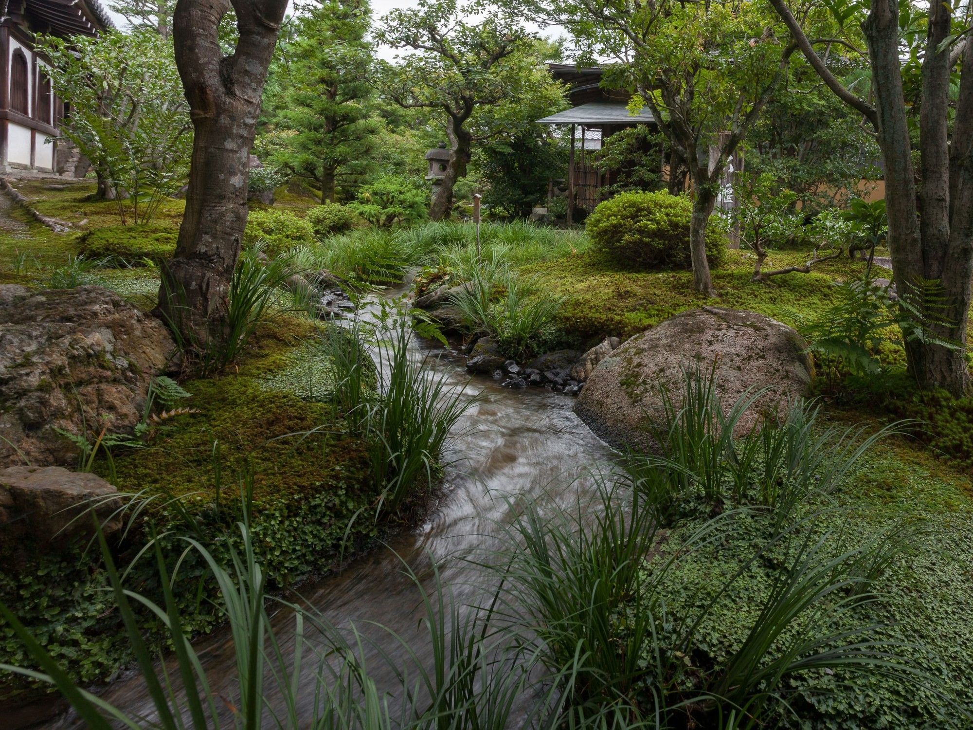 Autumn in Kyoto | Park Hotel Kyoto