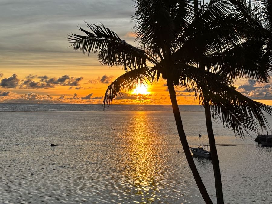 Sunset over ocean with palm trees silhouette at Warwick Fiji Resort and Spa.