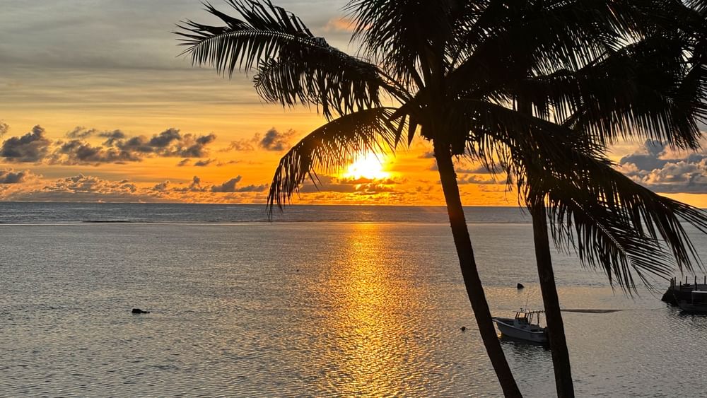 Sunset over the ocean with palm trees at the Sunset Terrace Bar, Warwick Fiji Resort and Spa, Korolevu.