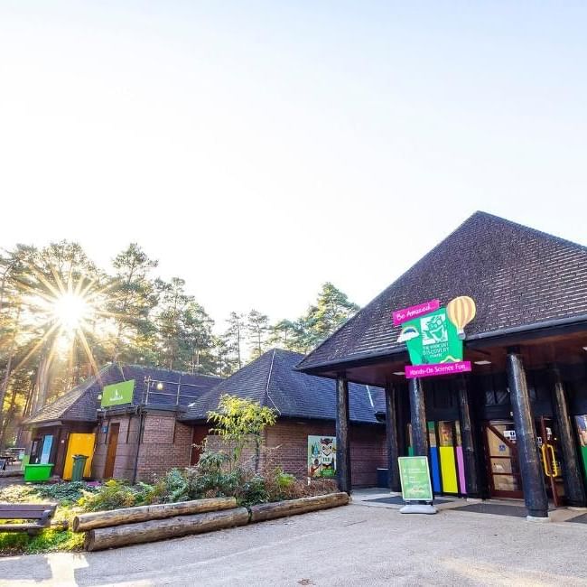 Exterior view of The Look Out Discovery Centre building with colourful panels, surrounded by pine trees in bright sunlight.