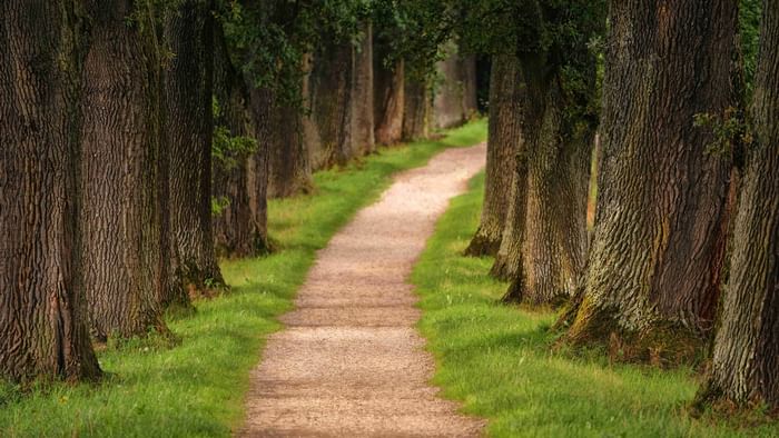 Natural narrow street near Originals Hotels