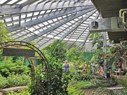Interior View of The Butterfly Place near Westford Regency