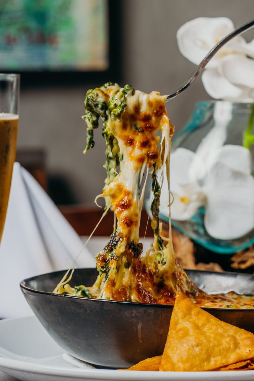 Close-up of Lasagna dish served at Club Hemingway