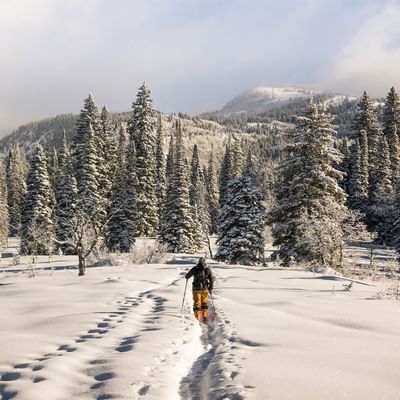 Cross Country Skiing near Falkensteiner Schlosshotel Velden