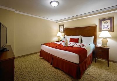 room with bed covered in rose petals