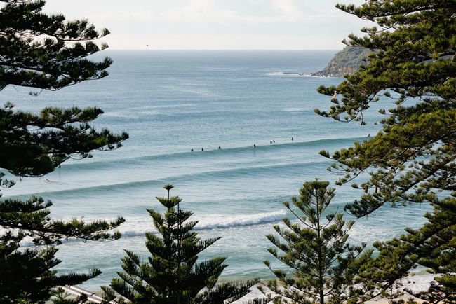 Elysium Manly coastal view showcasing surfers on rolling waves framed by pine trees, highlighting Manly attractions