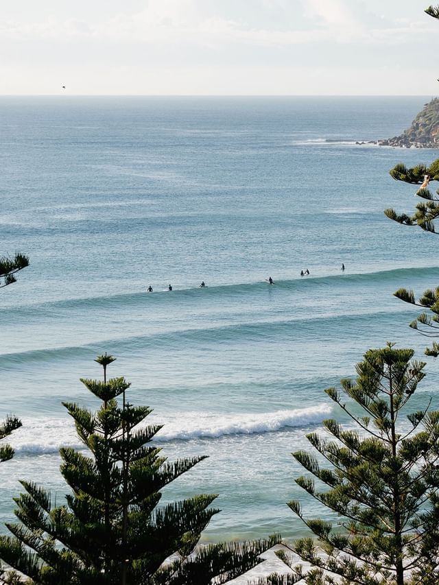 Surfers riding waves in the open blue ocean, framed by the Elysium Manly, one of the best hotels in Manly