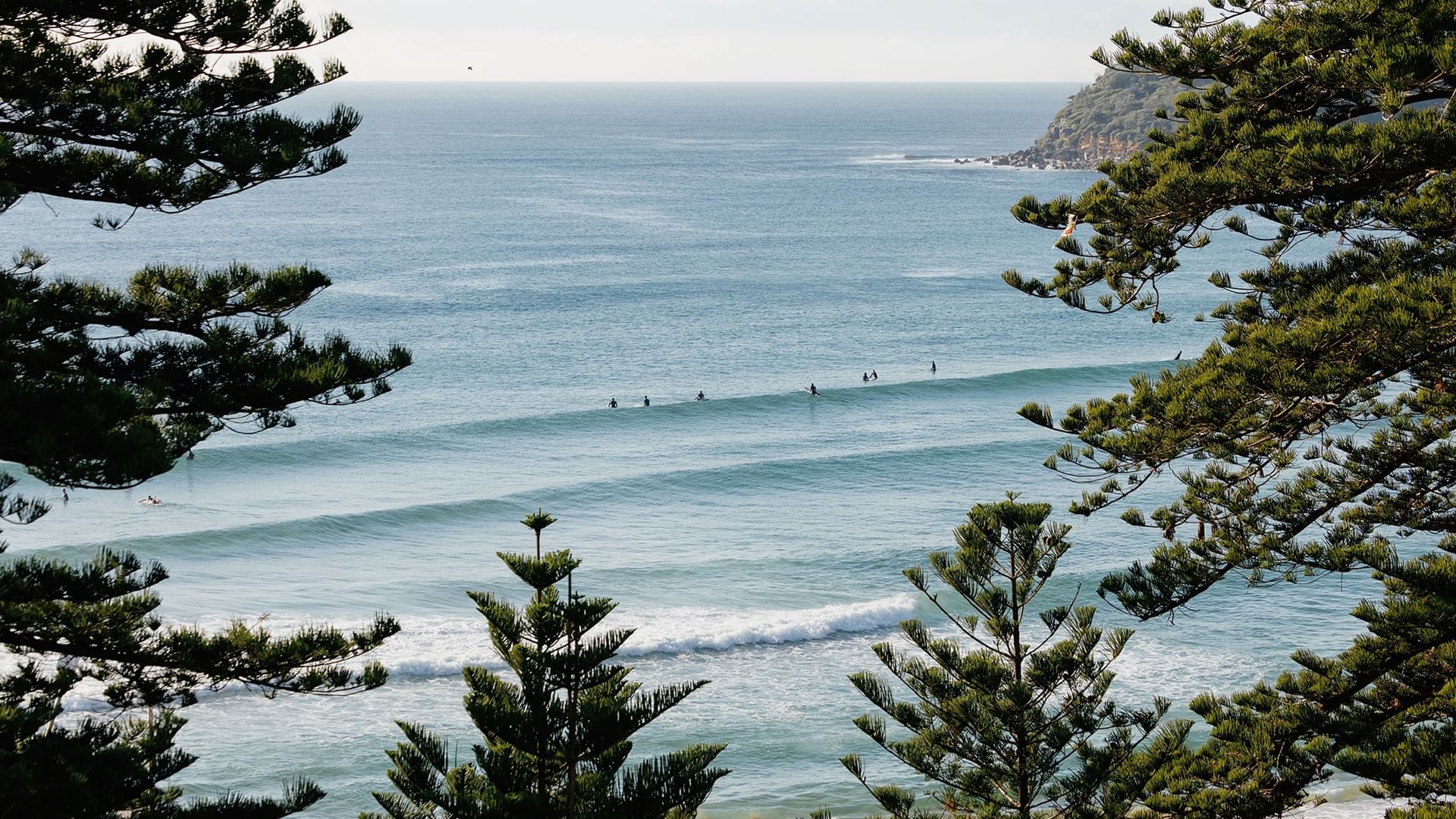 Surfers riding waves in the open blue ocean, framed by the Elysium Manly, one of the best hotels in Manly