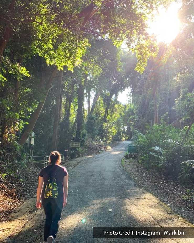 a woman walking along a hiking trail - Lexis PD