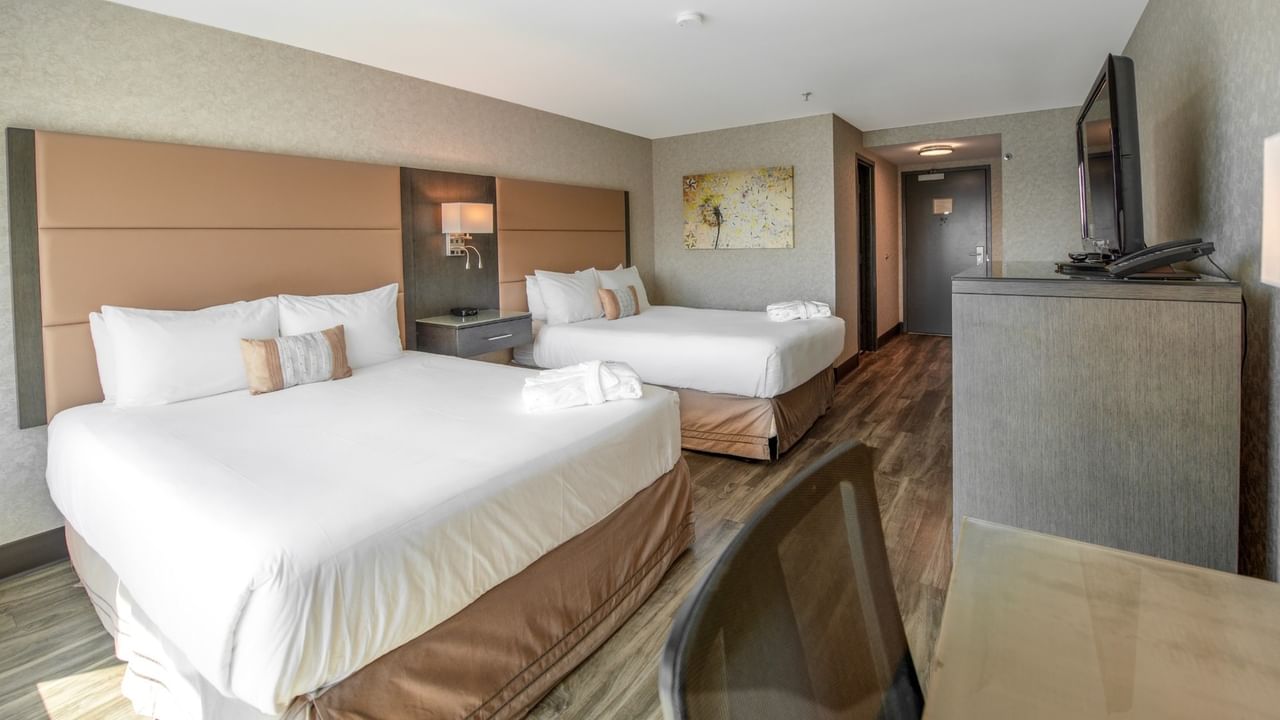 Coast Premium Two Queens