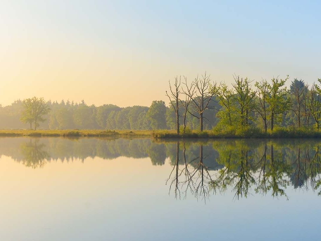 Landscape view of the river & forest near The Originals Hotels