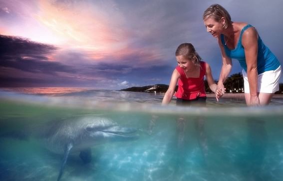 Mother and daughter exploring sea creatures in Tangalooma near Alcyone Hotel Residences