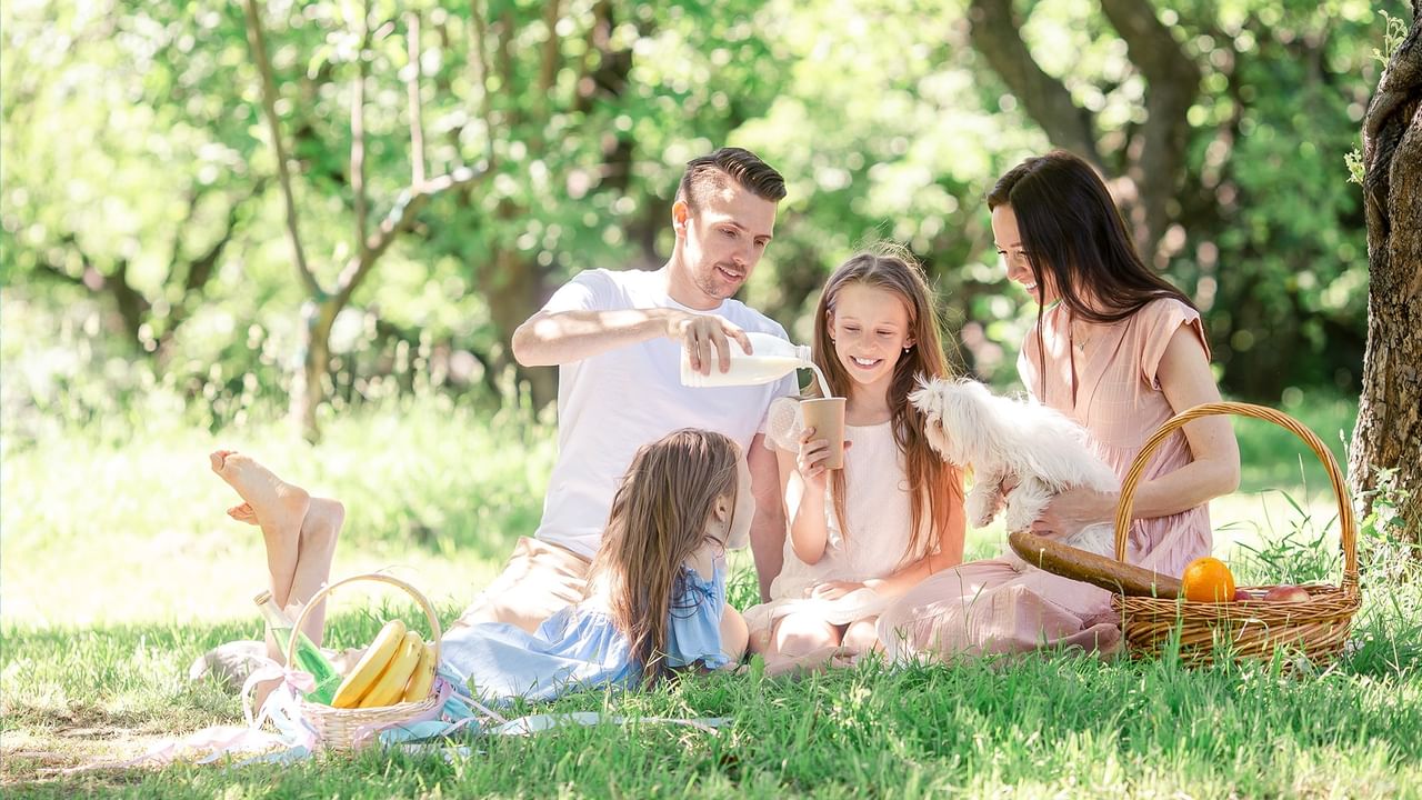 Family enjoying a picnic with dog and fruits on grassy area for Summer Savings offers.