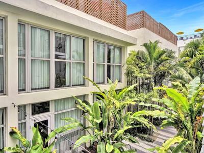 Trees and plants planted in the backyard of the Fairwind Hotel Miami