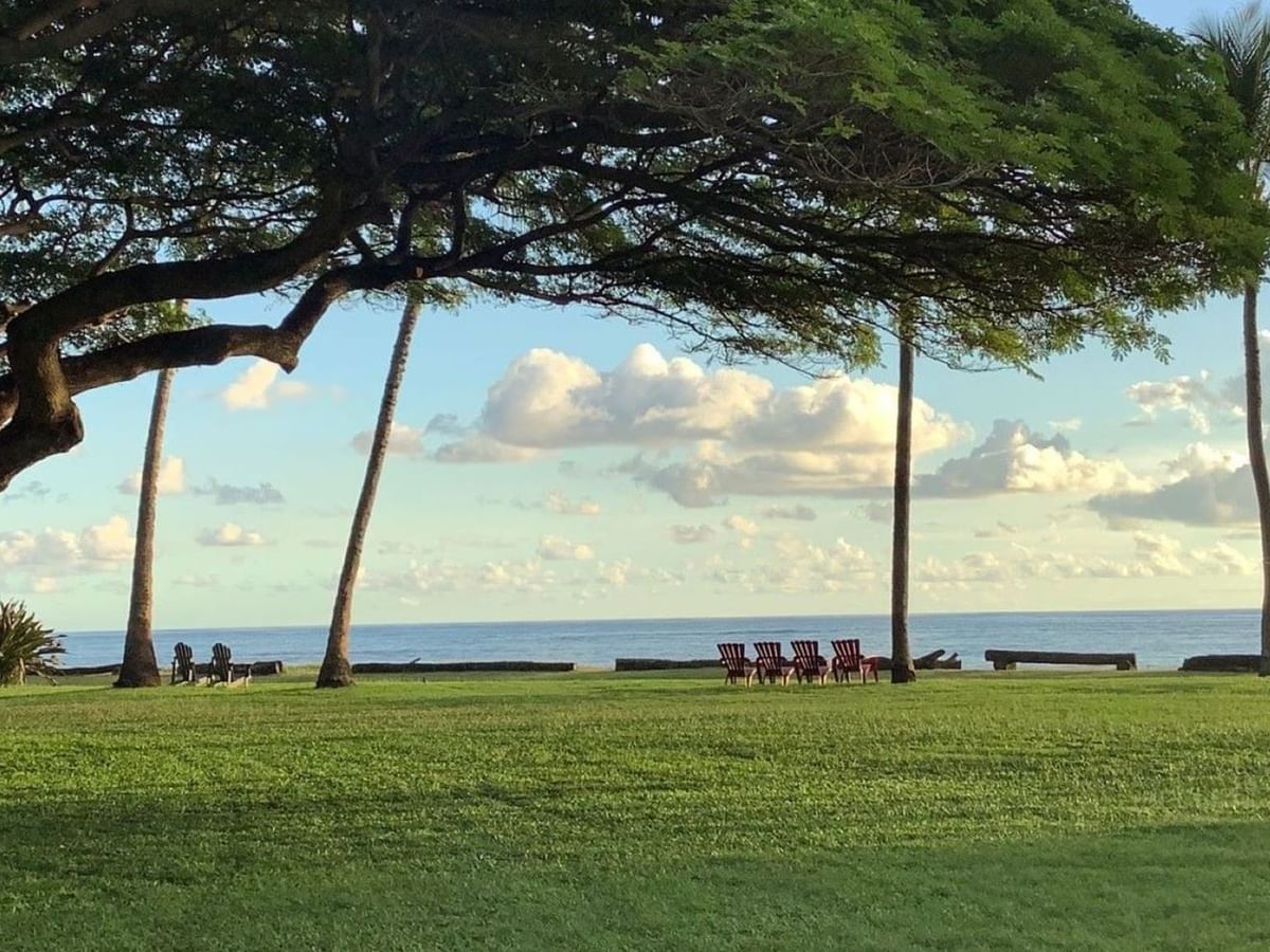 Ocean, trees, and hammock