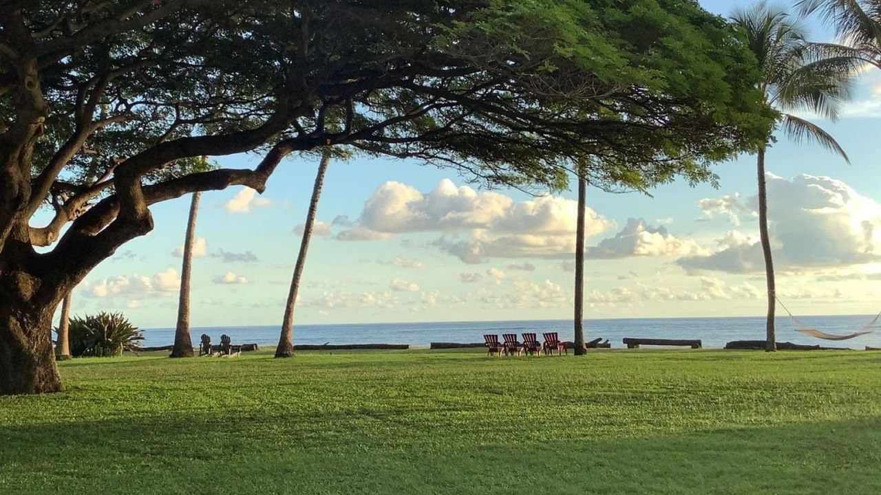 Ocean, trees, and hammock