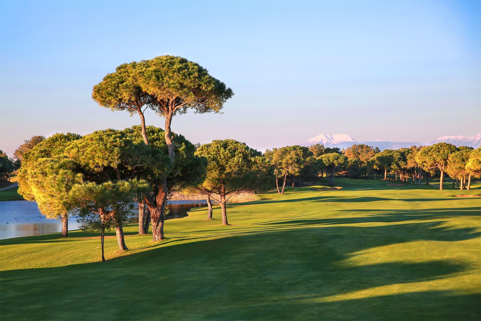 Titanic Golf Club trees and water