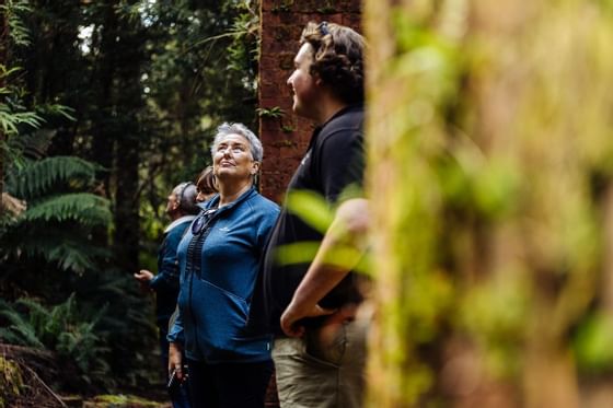 People on The Pillinger Explorer tour near Strahan Village