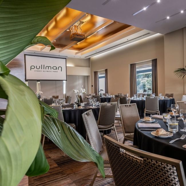 Elegant meeting room with black-clothed tables, wicker chairs, tropical plants, and natural light from large windows.