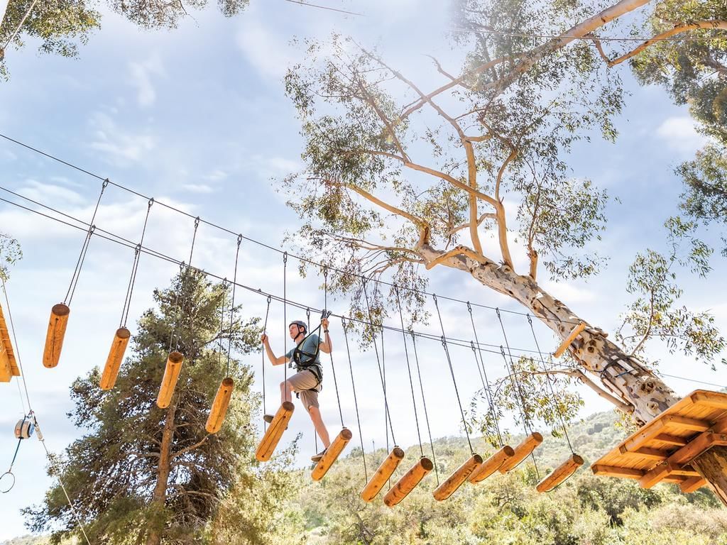 People experiencing activities in Catalina Aerial Adventure near Catalina Island Company