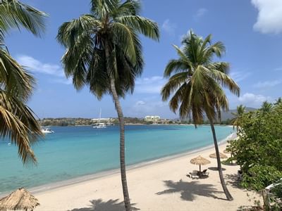 Tall palm trees and straw umbrellas on white sand beach facing calm turquoise water at Emerald Beach Resort