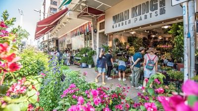 People stalling through Mong Kok Flower Market near Park Hotel Hong Kong